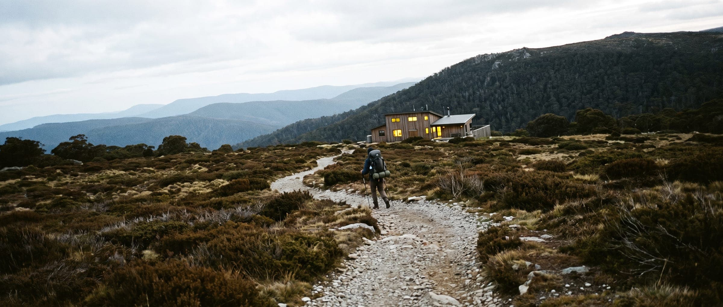 Fjällvidden på kalfjället
